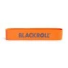 Blackroll Loop Band Træningselastik - Let (30 Cm) - FitnessNyheder -Muskelmester Blackroll Loop Band Traeningselastik Let 30 cm